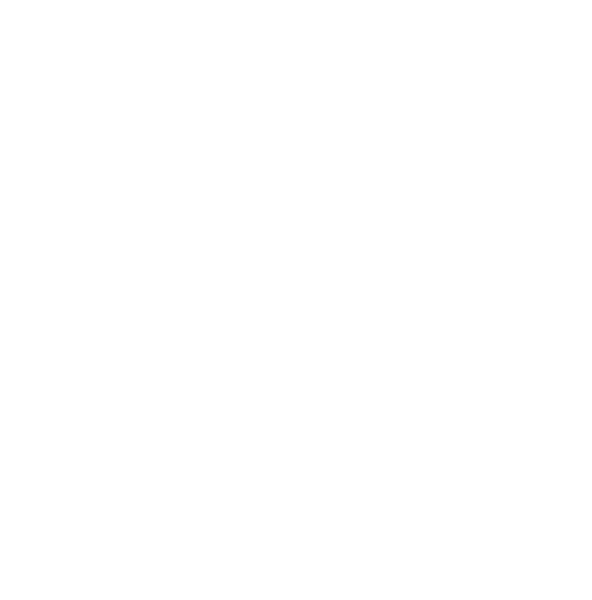L&S Luddeneit und Scherf GmbH